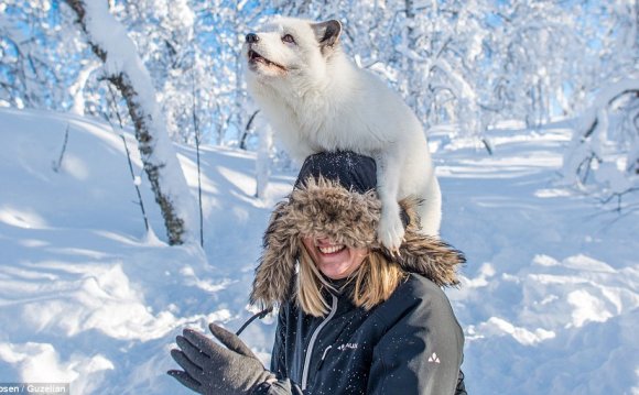 Arctic Fox Fur Hat