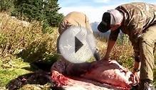 How to Skin and Butcher a Black Bear with Steven Rinella